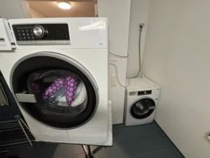 Bauknecht Waschmaschine mit defekter Pumpe vor der Reparatur